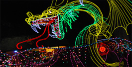 Glow in the Park Parade - Six Flags 6 locations