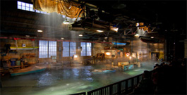 Lights! Camera! Action!